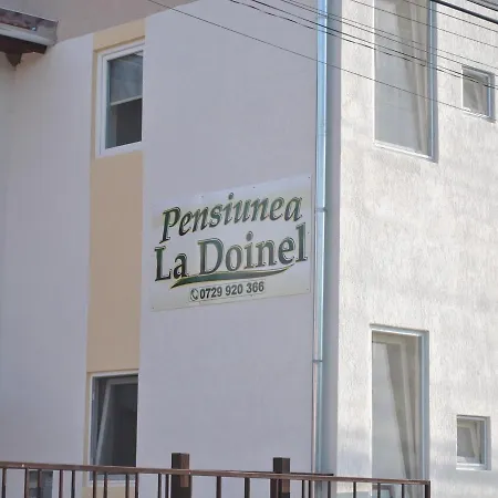 Pensiunea La Doinel Densus