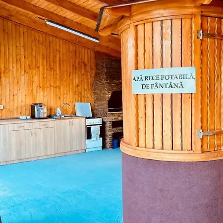 Pensiunea La Doinel Guest house *