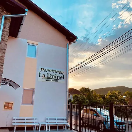 Pensiunea La Doinel Guest house Densus