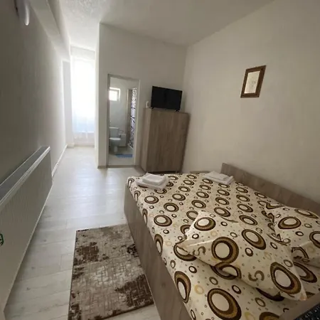 Guest house Pensiunea La Doinel