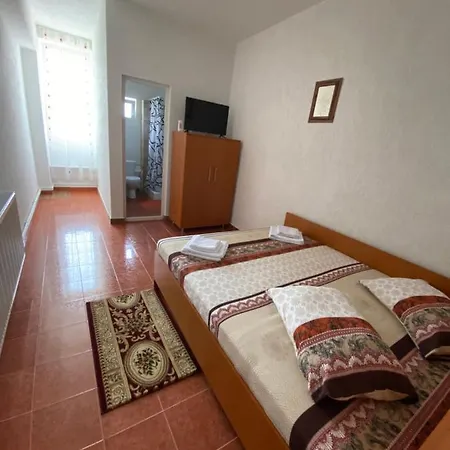Guest house Pensiunea La Doinel Densus