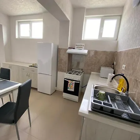 Guest house Pensiunea La Doinel Densus